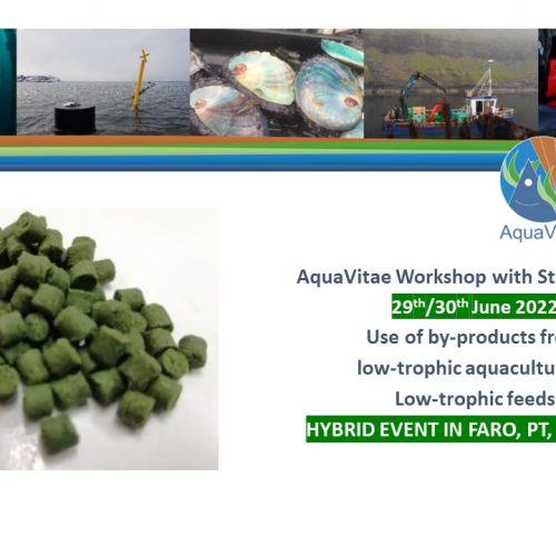 AquaVitae Workshop with Stakeholders (CS12 & CS13)