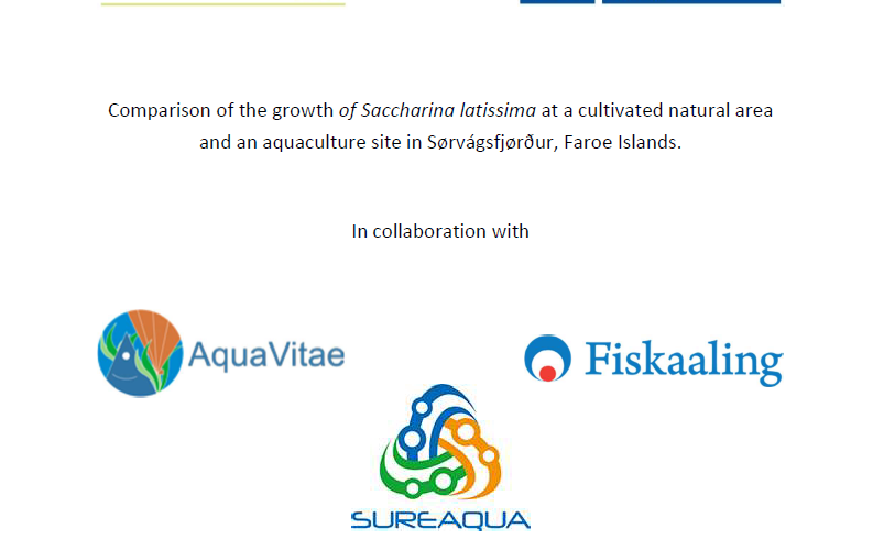 comparison of the growth of Saccharina latissima at a cultivated natural area and an aquaculture site