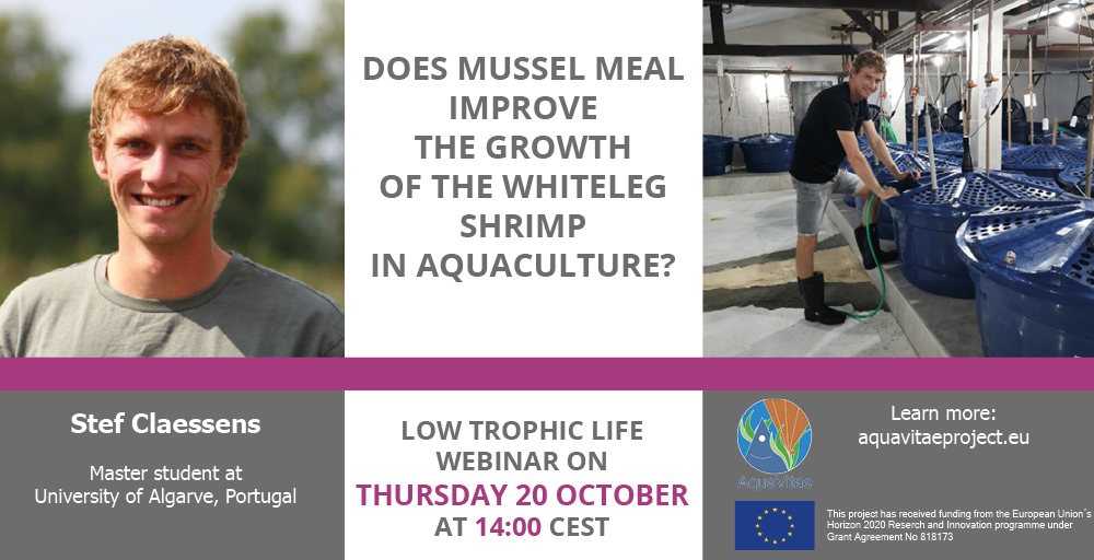 Low Trophic Life Webinar: “Does mussel meal improve the growth of the whiteleg shrimp?”