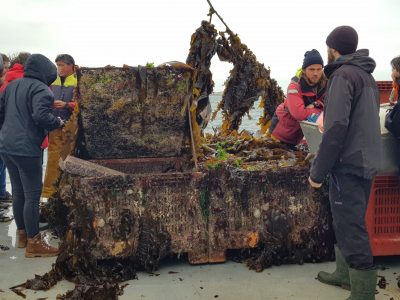 cage_sea-based-aquaculture-bjornsuckow France Halitis´sea-based platform with algae and abalone in an IMTA system