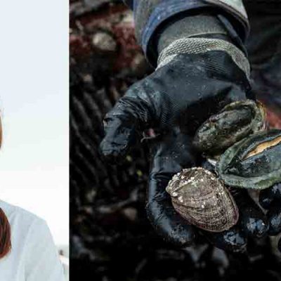 Master class: tasting the low-trophic world