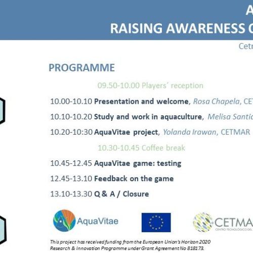 AquaVitae game: testing