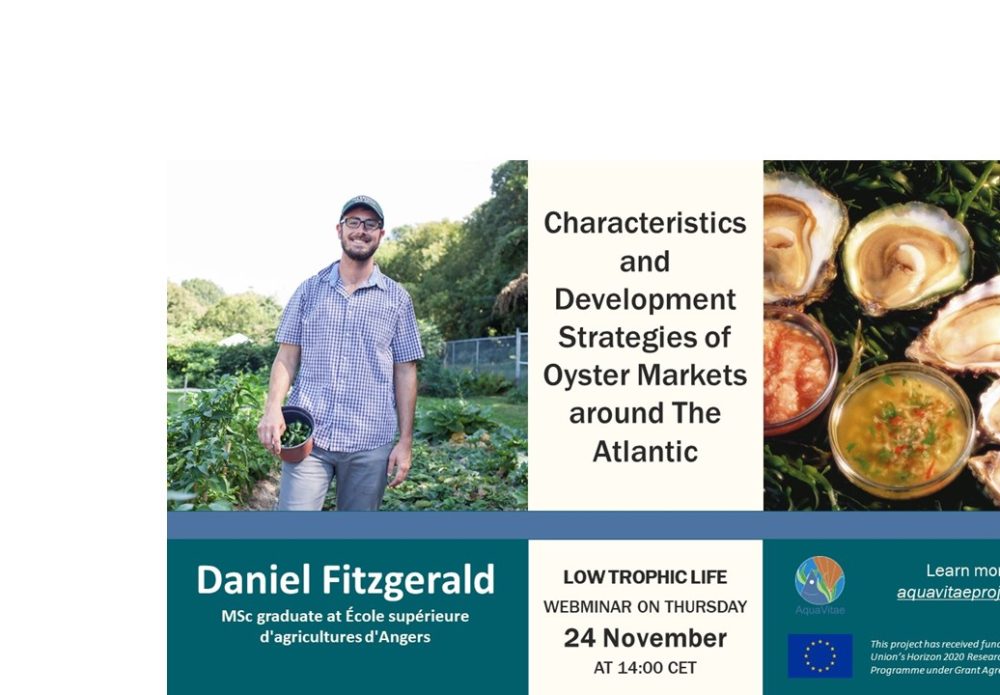Low Trophic Life Webinar: “Characteristics and development strategies of oyster markets around the Atlantic”