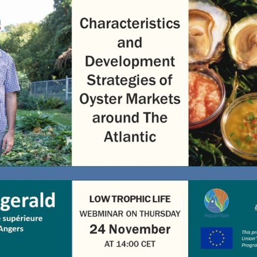 Low Trophic Life Webinar: “Characteristics and development strategies of oyster markets around the Atlantic”