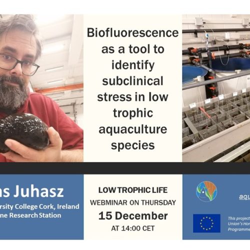 Low Trophic Life Webinar: “Biofluorescence as a tool to identify subclinical stress in Iow trophic aquaculture species”