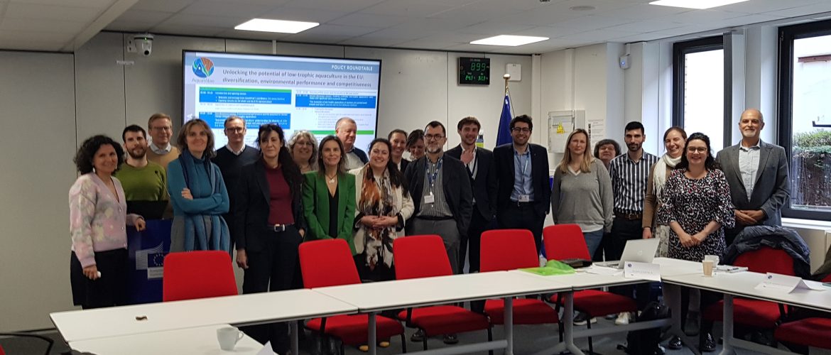 AquaVitae policy roundtable at DG MARE, Brussels, Belgium