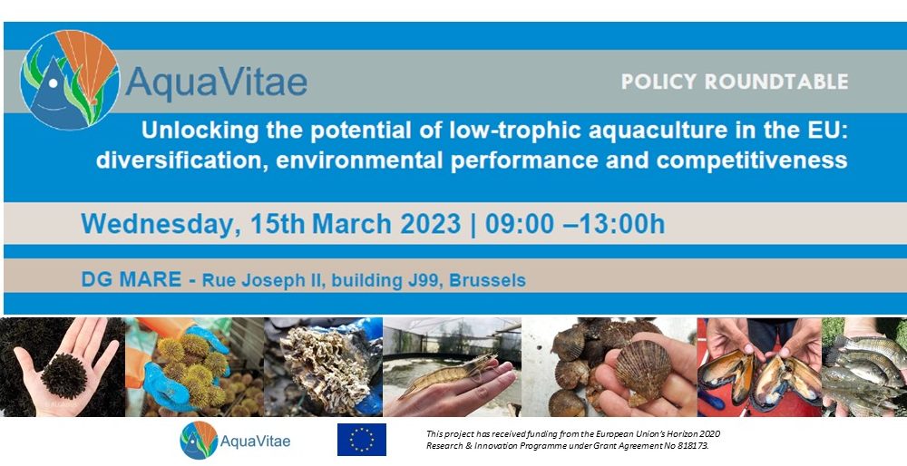 AquaVitae policy roundtable in Brussels