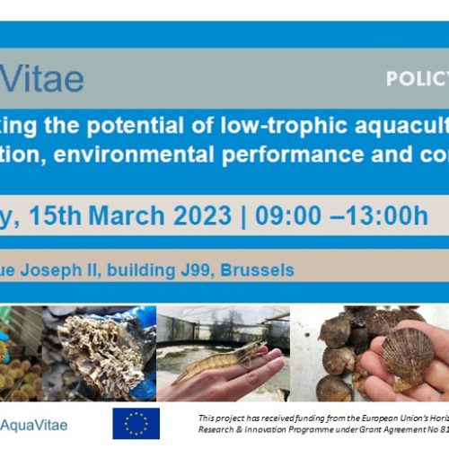 AquaVitae policy roundtable in Brussels