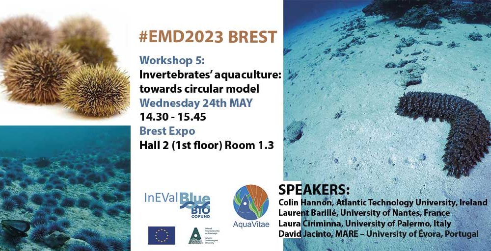 Workshop: Invertebrates aquaculture at the European Maritime Day, EMD2023, Brest