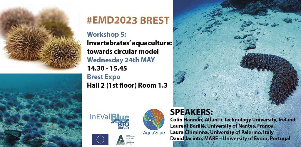 Workshop: Invertebrates aquaculture at the European Maritime Day, EMD2023, Brest