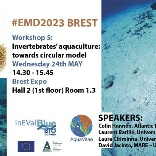 Workshop: Invertebrates aquaculture at the European Maritime Day, EMD2023, Brest