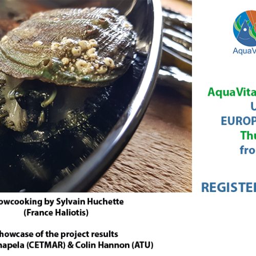 AquaVitae at the European Maritime Day, EMD2023, Brest