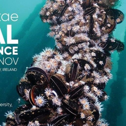 AquaVitae Final Conference in Galway, Ireland