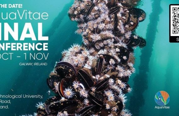 AQUA_V_FINAL_CONFERENCE_31_1nov_QR_v2