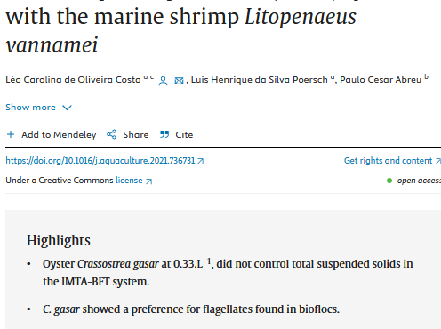 Biofloc removal_oyster_crassostrea