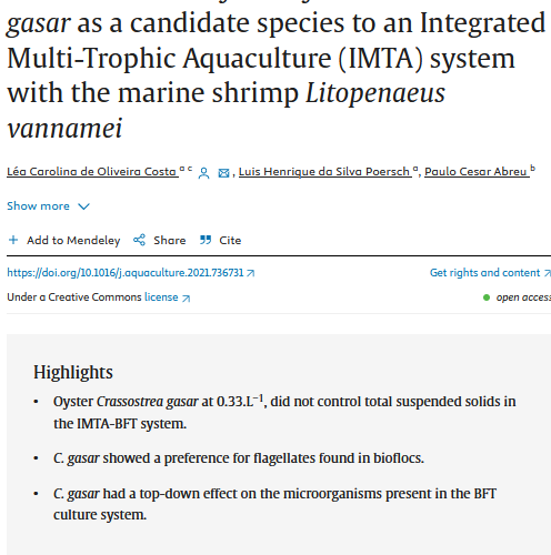 Biofloc removal_oyster_crassostrea