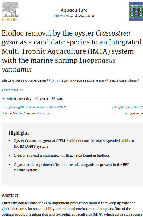 Biofloc removal_oyster_crassostrea