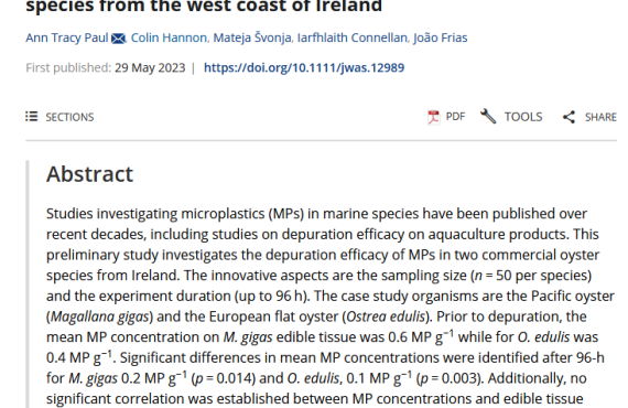 microplastic_depuration_oyster_ireland