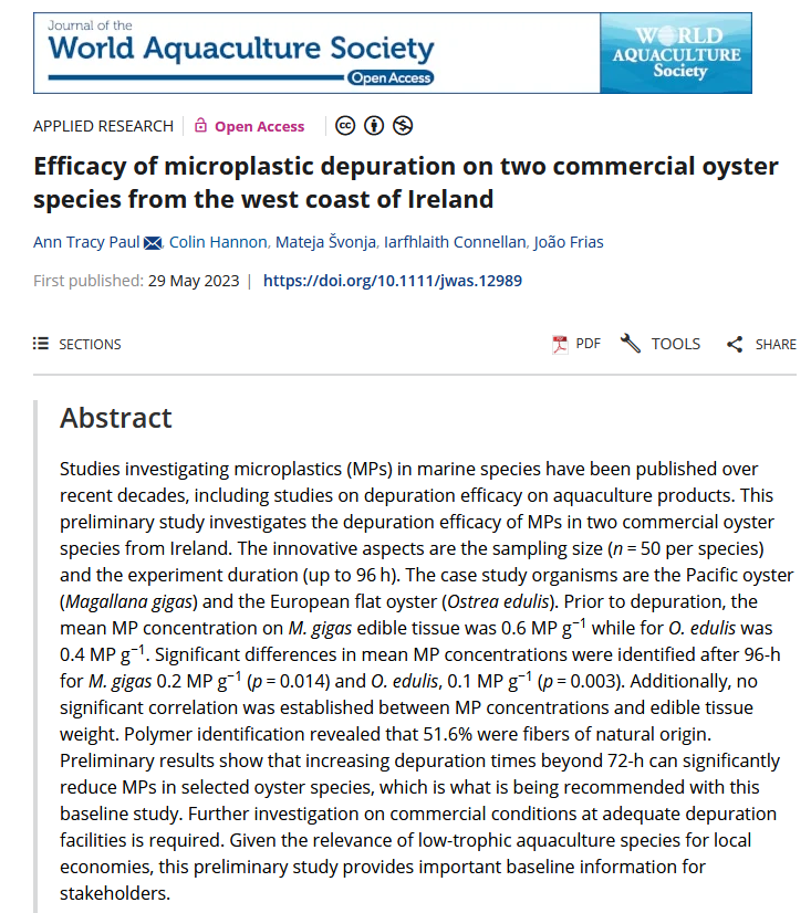 microplastic_depuration_oyster_ireland